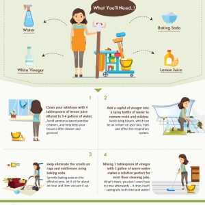 Green Cleaning Infographic