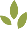 leaf-icon